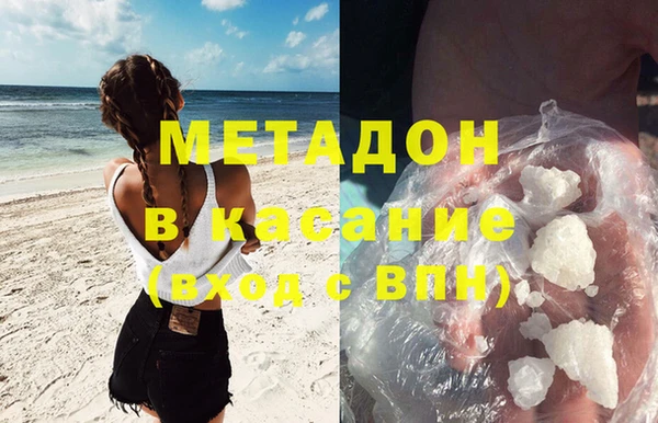 прущие грибы Абинск