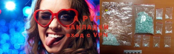 прущие грибы Абинск