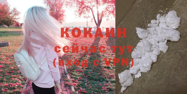 прущие грибы Абинск
