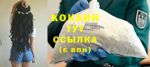прущие грибы Абинск