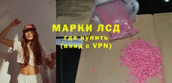 прущие грибы Абинск