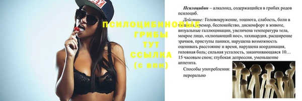 амф Абдулино