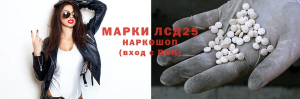 прущие грибы Абинск