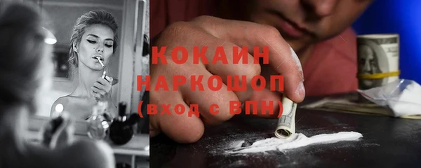 прущие грибы Покачи