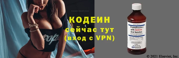 дживик Абаза