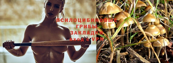 амф Абдулино