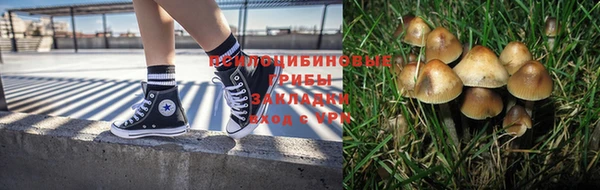 дживик Абаза