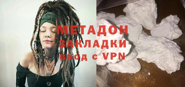 прущие грибы Абинск