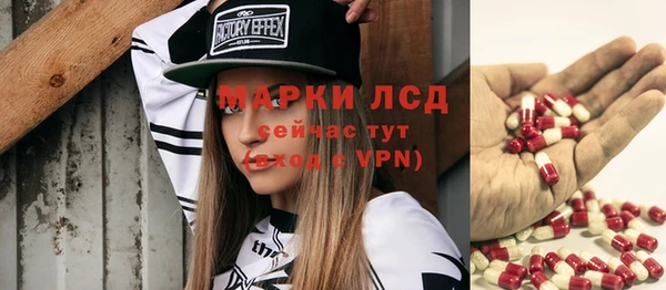 прущие грибы Абинск